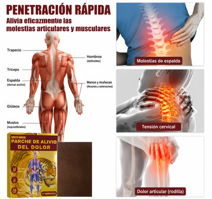 Pack parches dolor muscular 3x1/ Alivia el dolor desde la primera aplicación